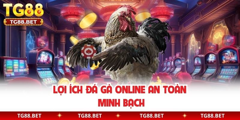 Lợi ích đá gà online an toàn minh bạch